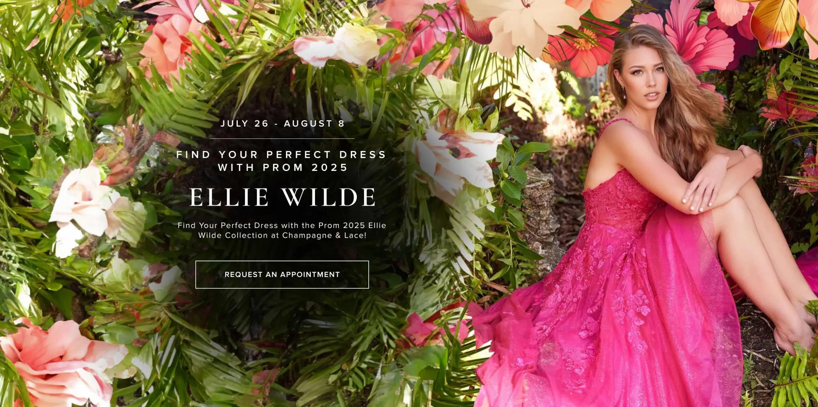 Ellie Wilde Trunk Show Desktop Banner